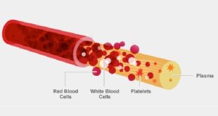 CHARACTERISTICS OF BLOOD