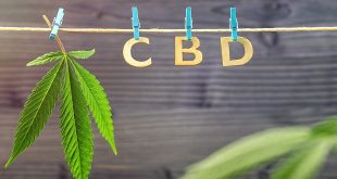 How CBD Works in The Body