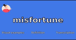 Misfortune Definition & Meaning