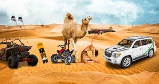Top Tour Activities of Dubai Desert Safari
