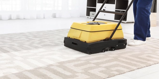 Why You Should Invest In Professional Carpet Cleaning