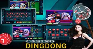 Which Is Better Better Offline And judi dingdong online (online casino gambling)