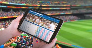 The Online Cricket Betting Guide- How to Bet on Cricket Online and Win