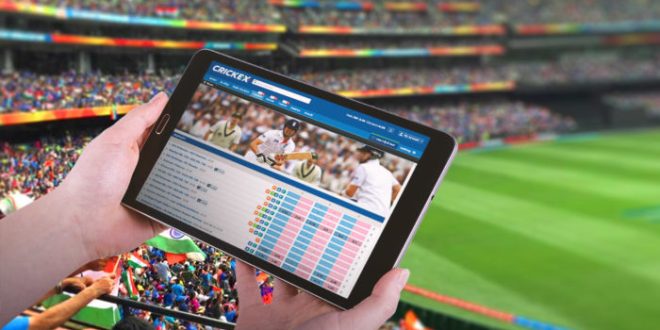 The Online Cricket Betting Guide- How to Bet on Cricket Online and Win