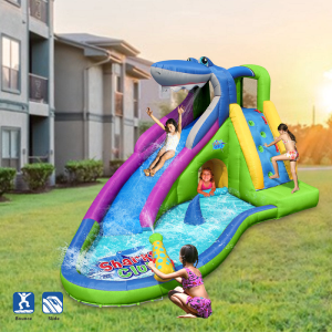 Exploring the Thrills of Water Slide Bounce Houses by Action Air