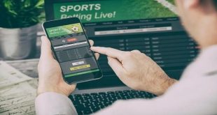 Online Sports Gambling Singapore: Rise of Sports Betting
